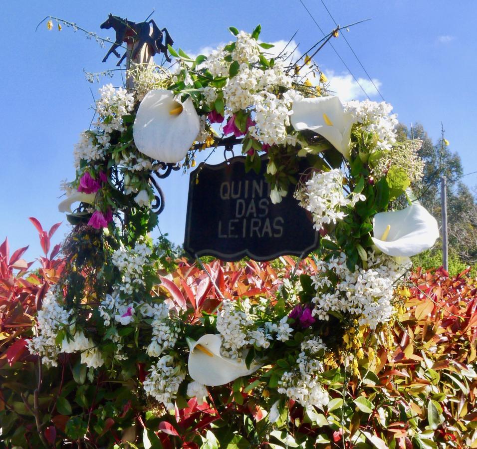 Quinta Das Leiras - Rubiaes Paredes de Coura Ngoại thất bức ảnh